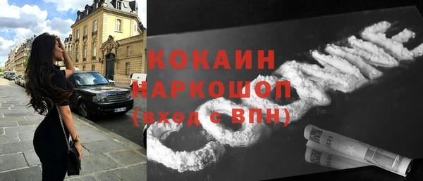 ПСИЛОЦИБИНОВЫЕ ГРИБЫ Арсеньев