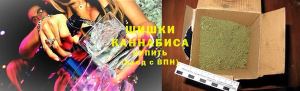 ПСИЛОЦИБИНОВЫЕ ГРИБЫ Арсеньев