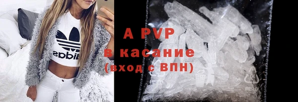 ПСИЛОЦИБИНОВЫЕ ГРИБЫ Арсеньев