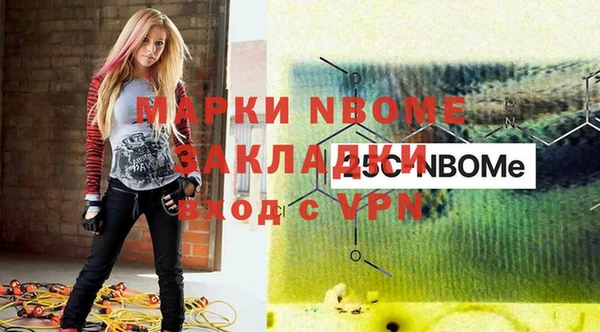 ПСИЛОЦИБИНОВЫЕ ГРИБЫ Арсеньев