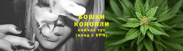 ПСИЛОЦИБИНОВЫЕ ГРИБЫ Арсеньев