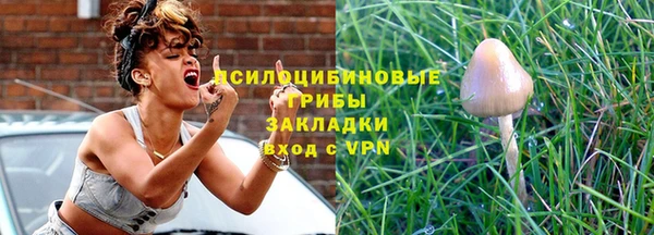 ПСИЛОЦИБИНОВЫЕ ГРИБЫ Арсеньев