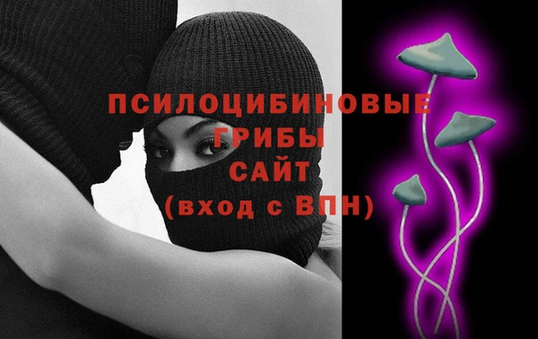 ПСИЛОЦИБИНОВЫЕ ГРИБЫ Арсеньев