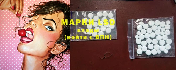 ПСИЛОЦИБИНОВЫЕ ГРИБЫ Арсеньев