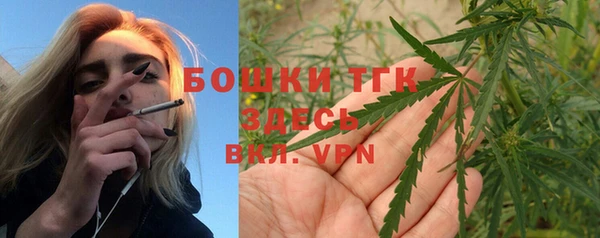 ПСИЛОЦИБИНОВЫЕ ГРИБЫ Арсеньев