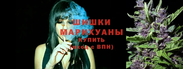 ПСИЛОЦИБИНОВЫЕ ГРИБЫ Арсеньев